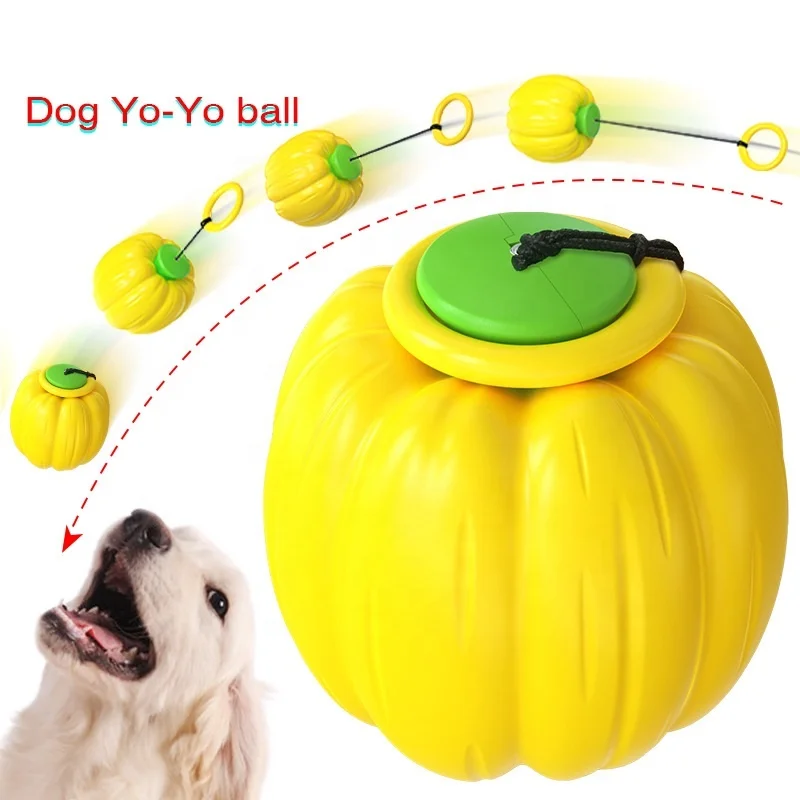 Factory wholesale rubber TPR outdoor dog chew toys training ball pumpkin ball halloween dog toy, Picture showed
Factory wholesale rubber TPR outdoor dog chew toys training ball pumpkin ball halloween dog toy, Picture showed