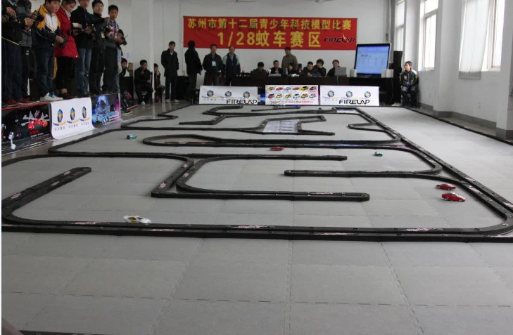 firelap RC competition.jpg