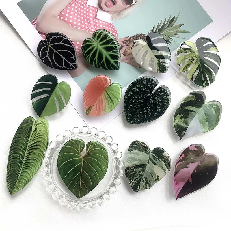 Wholesale High Quality Acrylic Eject Phone Holder Custom Phone Grip With Plant Leaf Design Bracket Mobile Phone Holder
Wholesale High Quality Acrylic Eject Phone Holder Custom Phone Grip With Plant Leaf Design Bracket Mobile Phone Holder