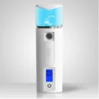 Portable mini size factory supply cheap price nano mister facial steamer best selling