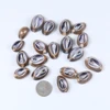 Wholesale all kinds of natural small size tiger cowrie shell for bracelet necklace ornament
