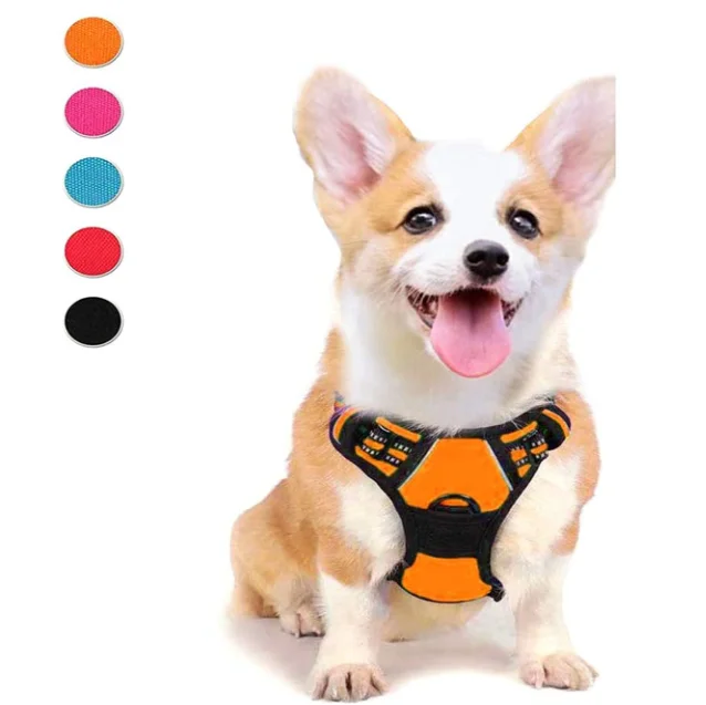 Reflective Oxford Comfortable Adjustable Dog Padded Harness Dog Harness For Outdoor Training Walking, 7color
Reflective Oxford Comfortable Adjustable Dog Padded Harness Dog Harness For Outdoor Training Walking, 7color