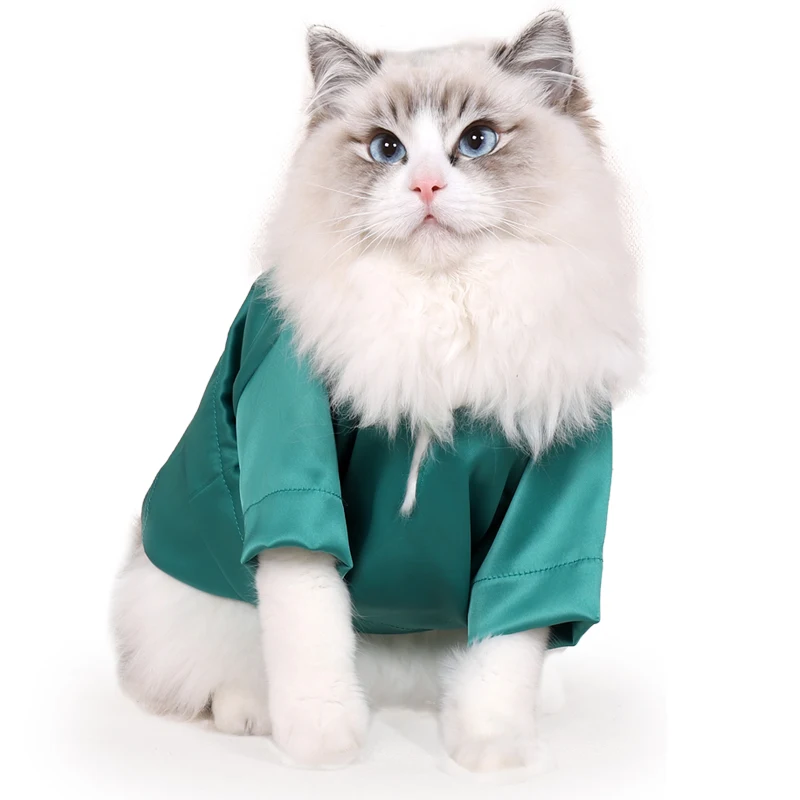 New summer outdoor indoor pet cat colorful T-shirt clothes casual cool luxury cat clothes
New summer outdoor indoor pet cat colorful T-shirt clothes casual cool luxury cat clothes