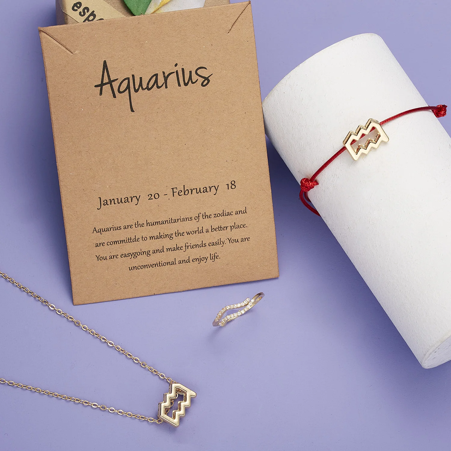 12 Constellation Jewelry Set Gold Symbol Red Rope Bracelet Necklace Rhinestone Ring for Women, Gold/silver
12 Constellation Jewelry Set Gold Symbol Red Rope Bracelet Necklace Rhinestone Ring for Women, Gold/silver