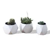 Custom modern small hydroponic desktop ceramic flower pot White porcelain mini tabletop succulent cactus planter for home decor