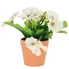 Wholesale white flower artificial potted plants singapore for garden decor