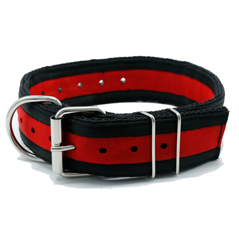 Training Pitbull Dog Collar4 Layers Heavy Duty Nylon Large 2 Inch Dog Collar For Dog Training Products Supplies
Training Pitbull Dog Collar4 Layers Heavy Duty Nylon Large 2 Inch Dog Collar For Dog Training Products Supplies