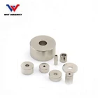 Magnetic Core Neodymium Magnet for Magnetic Therapy Machine
