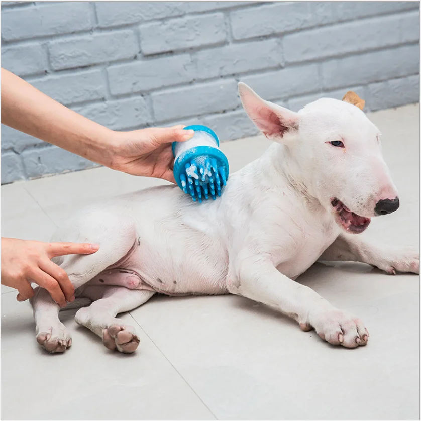 Environment-friendly silica gel and PP pet dogs cleaning bathing grooming tool, Green,pink,blue
Environment-friendly silica gel and PP pet dogs cleaning bathing grooming tool, Green,pink,blue