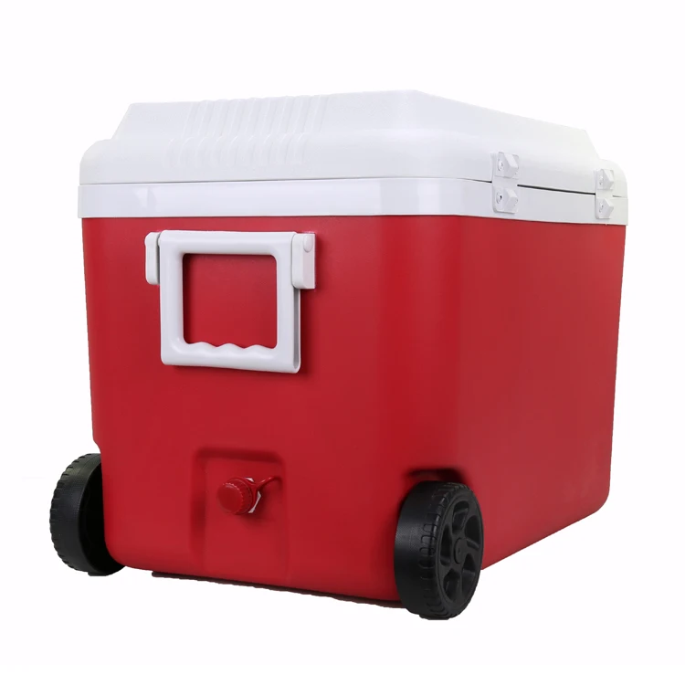 GiNT Pulling Handle Ice Chest Cooler Box 60L EPS Foam Ice Chest Cooler Box for Outdoor Camping Fishing Hiking, Customized color acceptable
GiNT Pulling Handle Ice Chest Cooler Box 60L EPS Foam Ice Chest Cooler Box for Outdoor Camping Fishing Hiking, Customized color acceptable