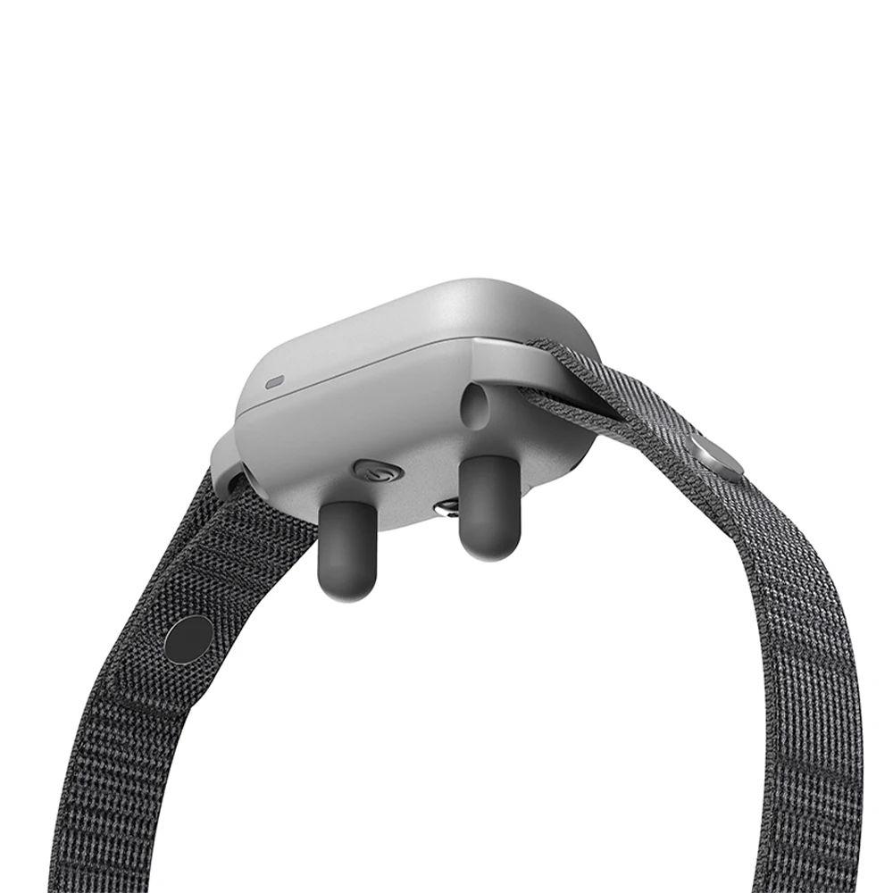 The Latest Design Of Waterproof Charging Remote Control Dog Training Collar Manufacturer
The Latest Design Of Waterproof Charging Remote Control Dog Training Collar Manufacturer