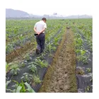 PP Spunbond Nonwoven Fabric for Agriculture Weed Control Cover