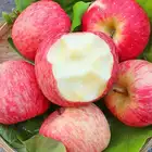 Wholesale 2020 China new crop fresh fruits red fuji apples