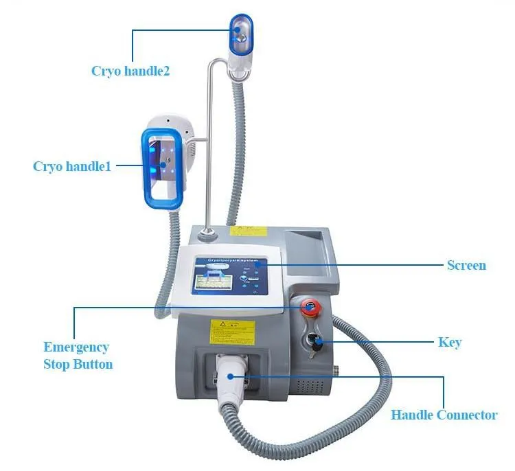 China Best Selling Cryolipolysis Machine Portable TM-920 Fat Freeze Cryolipolysis 360 Aesthetics Slimming Machine
China Best Selling Cryolipolysis Machine Portable TM-920 Fat Freeze Cryolipolysis 360 Aesthetics Slimming Machine