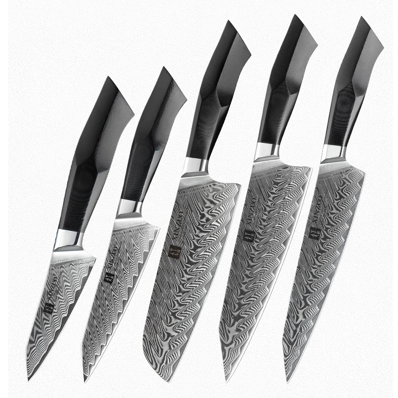 Professional kitchen Damascus steel 5 pcs chef knife set with G10 handle knife japan
Professional kitchen Damascus steel 5 pcs chef knife set with G10 handle knife japan