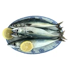 100-200g Mackerel Frozen Fish Pacific Mackerel Tuna