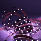 NEW tuya wifi Factory Sale CW Smart Light Strip 120leds/m Flexible Led Strip Light 24v