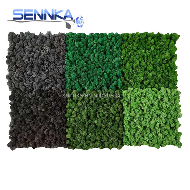 reindeer garden real stabilized moss wall diy natural preserved