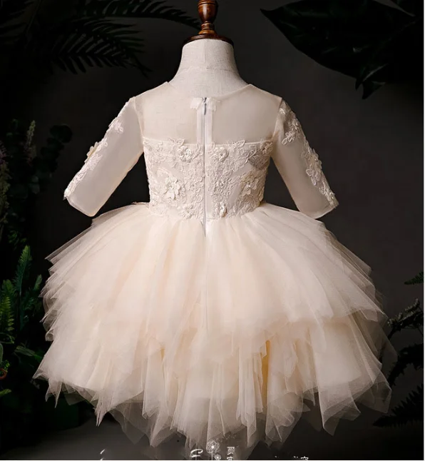 

Champagne Fluffy Baby Girl Dress Applique Kids Tutu Dress for Photography Prop Gown, Champagne/ custom