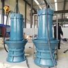 Model and Price of Axial Flow Submersible Pump