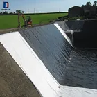 Geomembrane Waterproofing Plastic Liner Hdpe Price