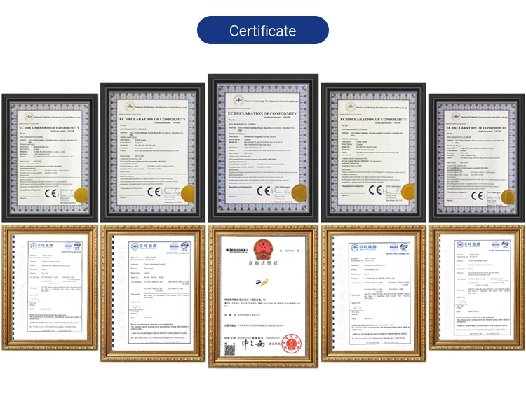 5. Certificate.jpg