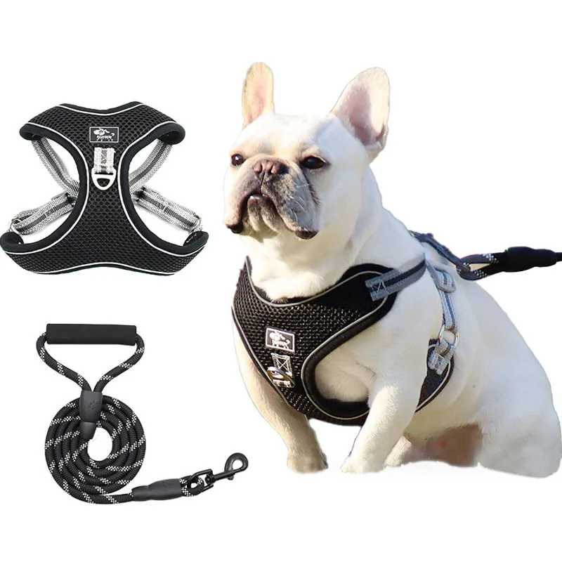 Amazon Popular Adjustable Breathable Reflective Pet Harness Vest Large Dog Harness and Leash Set For Walking
Amazon Popular Adjustable Breathable Reflective Pet Harness Vest Large Dog Harness and Leash Set For Walking