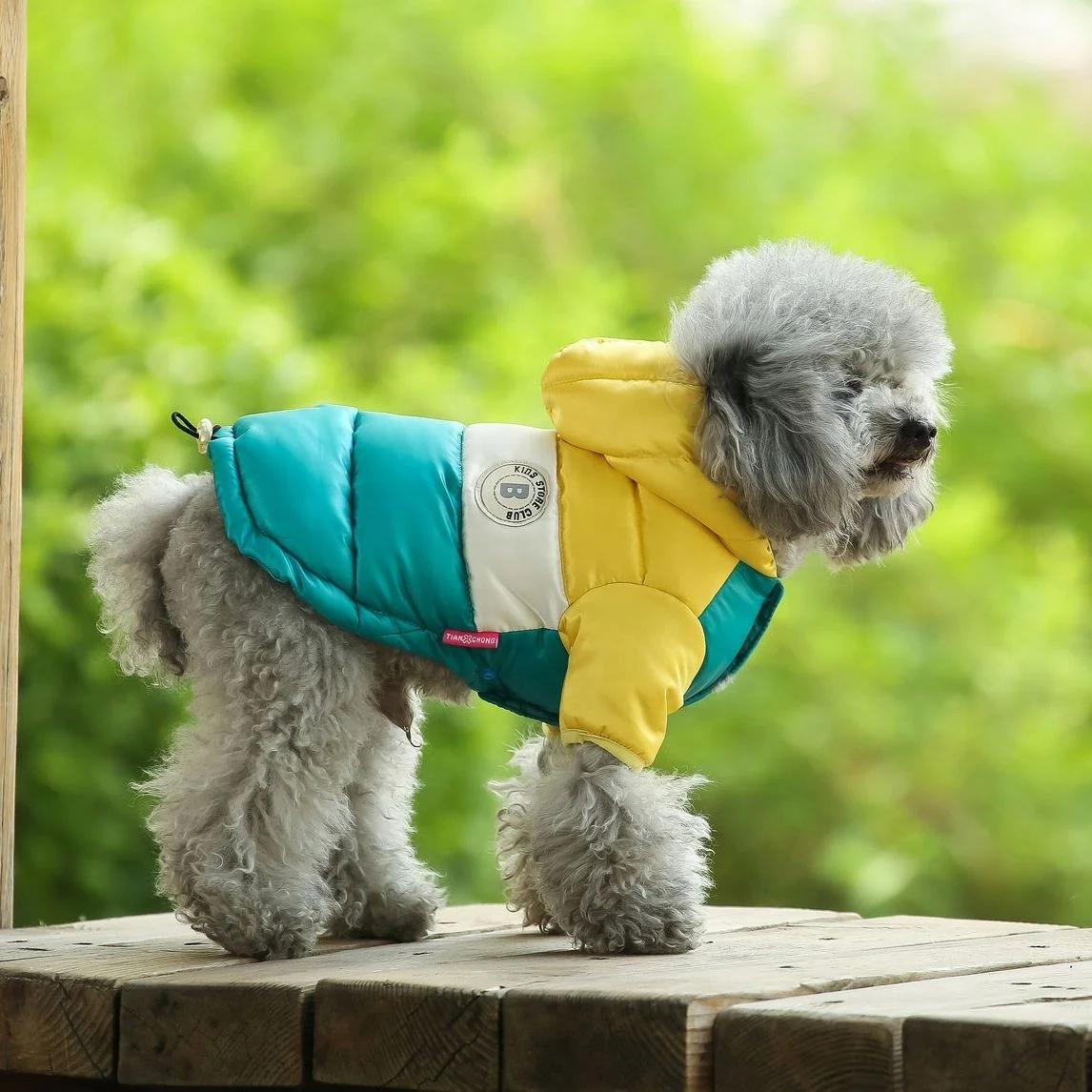 Jhcentury Autumn Winter New Design Warm Pet Vest For Dog Dog Down Cotton Coats Pet Jackets Dog, Picture
Jhcentury Autumn Winter New Design Warm Pet Vest For Dog Dog Down Cotton Coats Pet Jackets Dog, Picture