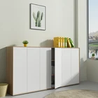 Home Office High Quality Combination Swing Door Storage Wooden Filing Cabinet