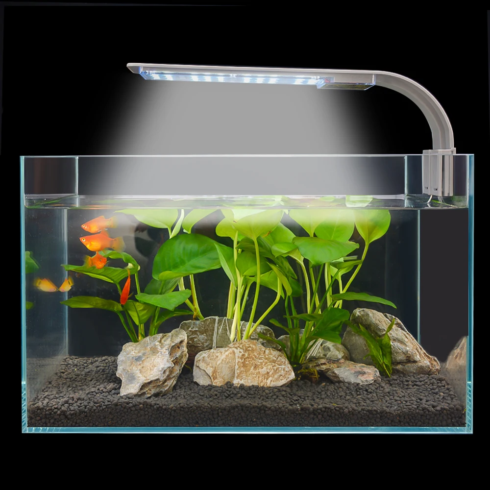 X9 Aries Aquarium Fish Tank Light 15W 40 LED Aquarium Planted Clip Light for 14-19inch Fish Tank LED Lighting
X9 Aries Aquarium Fish Tank Light 15W 40 LED Aquarium Planted Clip Light for 14-19inch Fish Tank LED Lighting