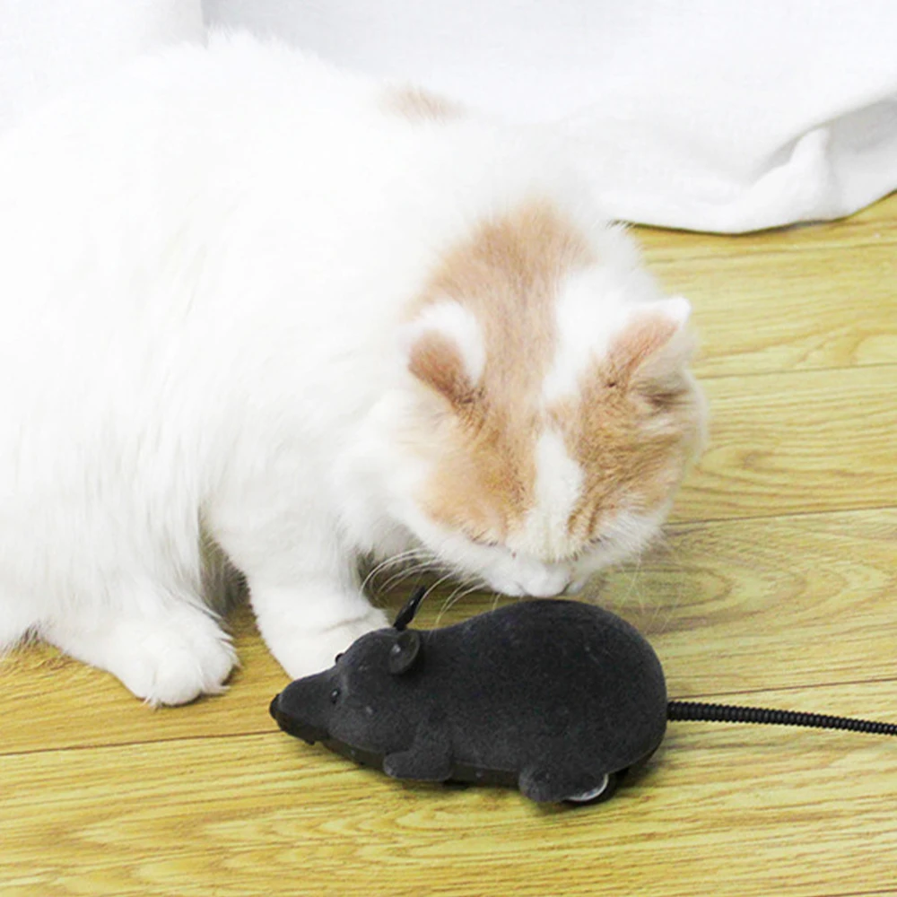 Wireless RC Mice 4 CM Mouse Talking Kids Cat Pet Toys For Living Room, Black, gray, brown, white 
Wireless RC Mice 4 CM Mouse Talking Kids Cat Pet Toys For Living Room, Black, gray, brown, white