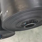 ASTM standard HDPE geomembrane liner for pond or tailing disposal