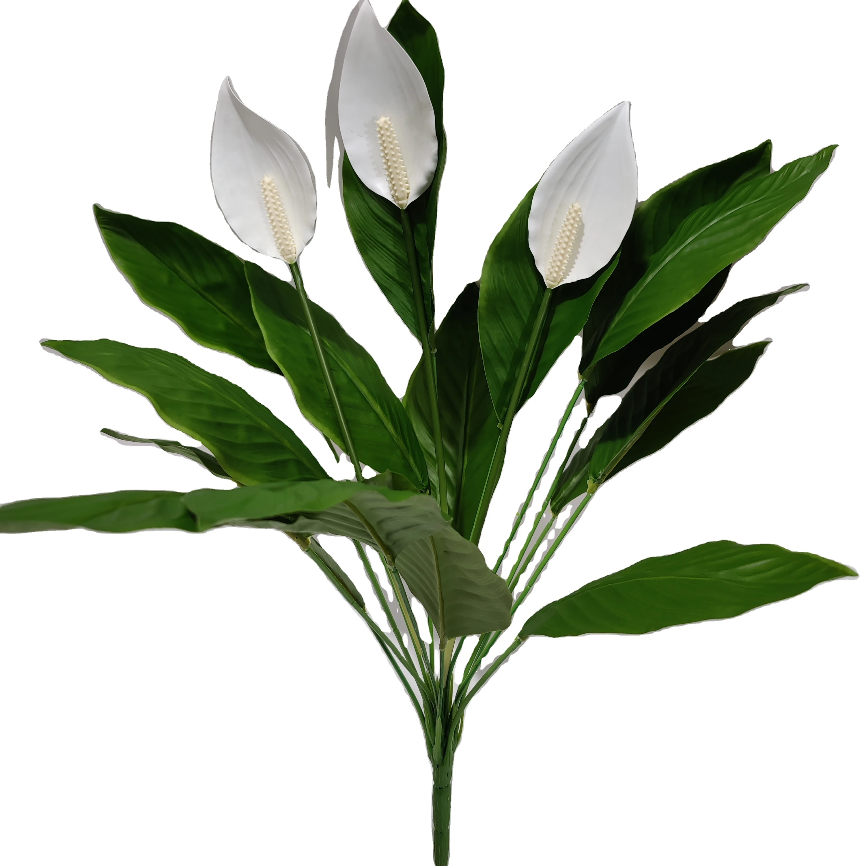 High Quality Artificial Spathiphyllum Kochii Indoor Desk Decor Home Decor, Green color
High Quality Artificial Spathiphyllum Kochii Indoor Desk Decor Home Decor, Green color