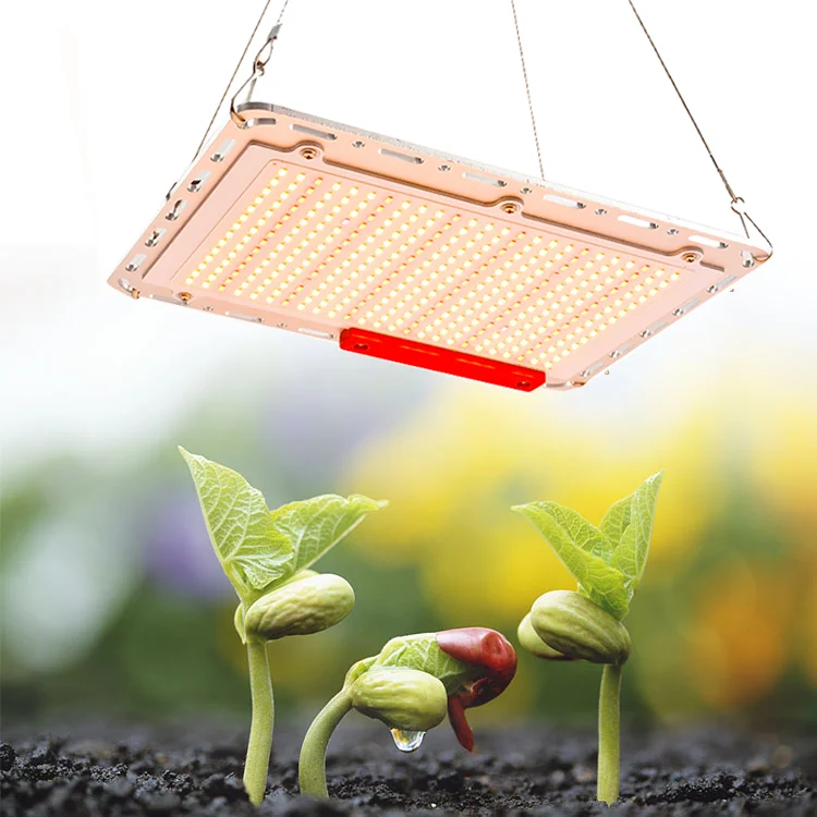 Super Bright Indoor Garden Greenhouse Plant 600w full spectrum hydroponic led grow light