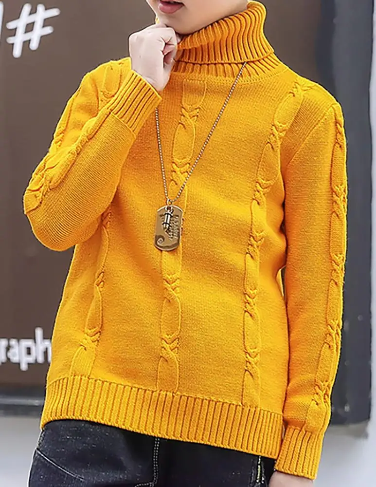 High collar boys and girls wear Korean version of autumn and winter sweater with velvet and thick pure cotton
High collar boys and girls wear Korean version of autumn and winter sweater with velvet and thick pure cotton
