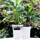 Best quality modern design style biodegradable self watering white plastic plant pot with office decorations
