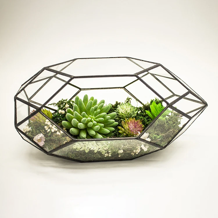 Wholesale Long Polygon Artificial Black Metal Glass Succulents Terrarium For Indoor Tabletop Decor
Wholesale Long Polygon Artificial Black Metal Glass Succulents Terrarium For Indoor Tabletop Decor