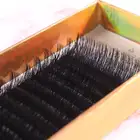 Rainbow Srtip Lash Extension Light Korean Curly Lashes Mink LD Curl Eyelash Extension Crown Supllies Retails in Vietnam