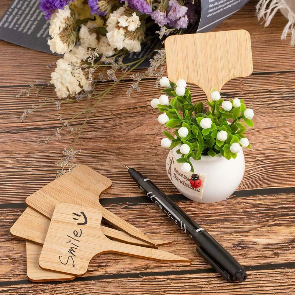 50pcs Bamboo Plant Labels Garden Markers T-Type Plant Tags Gardening Labels Signs, Natural
50pcs Bamboo Plant Labels Garden Markers T-Type Plant Tags Gardening Labels Signs, Natural