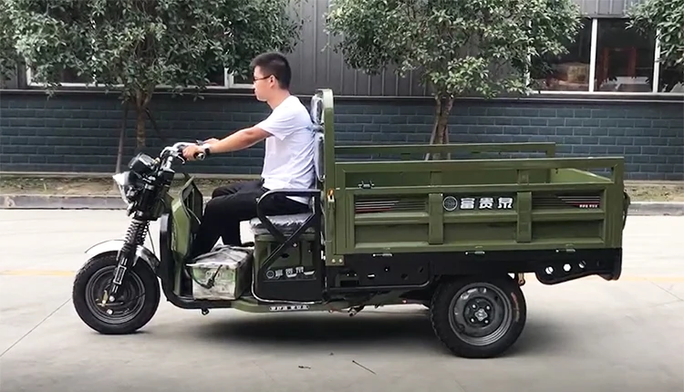 cargo electric tricycle