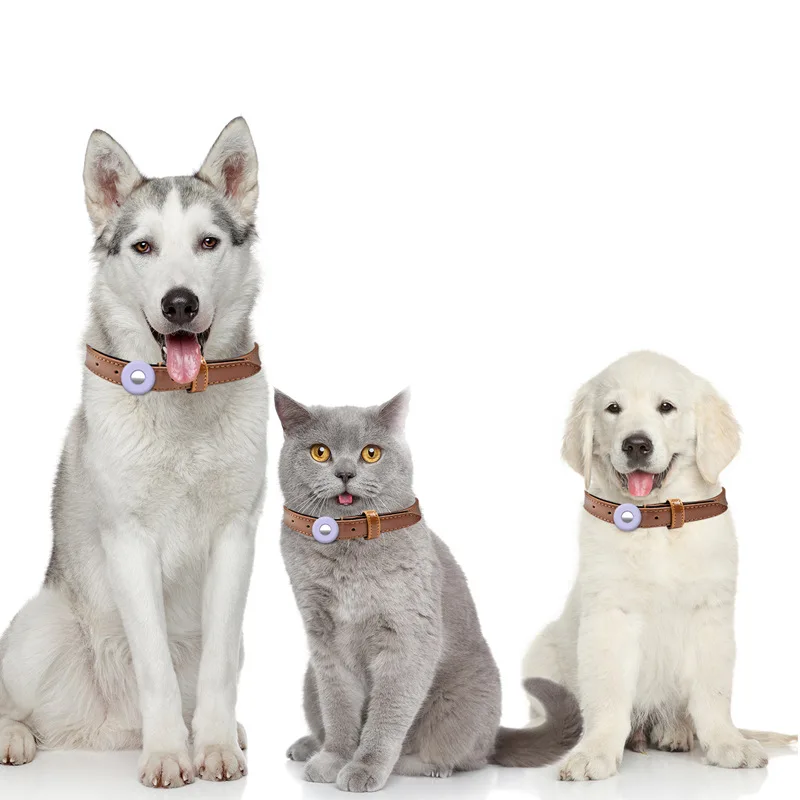Individualization Print Airtag Accessories Holder Circular Fluorescence Silicone Airtag Dog Collar For Pet
Individualization Print Airtag Accessories Holder Circular Fluorescence Silicone Airtag Dog Collar For Pet