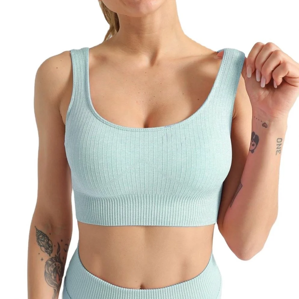 Quick drying Plus Size Activewear Slim Yoga Fitness Top Sexy Women Seamless Gym Wear Fitness Sportsbra, Green,purple, pink,red
Quick drying Plus Size Activewear Slim Yoga Fitness Top Sexy Women Seamless Gym Wear Fitness Sportsbra, Green,purple, pink,red