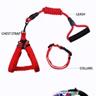 Personalized Supplies Wholesale Personalized Pet 550 Cord Cobra Stitch Paracord Collar Dog Leash