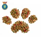 cat dog food kibble big capacity machine automatic dry dog food production equipment