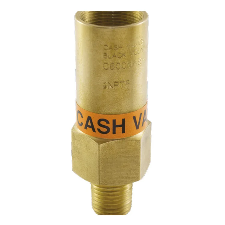 Valve Model C600 cryogenic relief valve with piping, storage tanks and process equipment
Valve Model C600 cryogenic relief valve with piping, storage tanks and process equipment