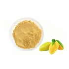 Natural 100% Water Soluble Mango Juice Powder Mango Fruit Juice Powder