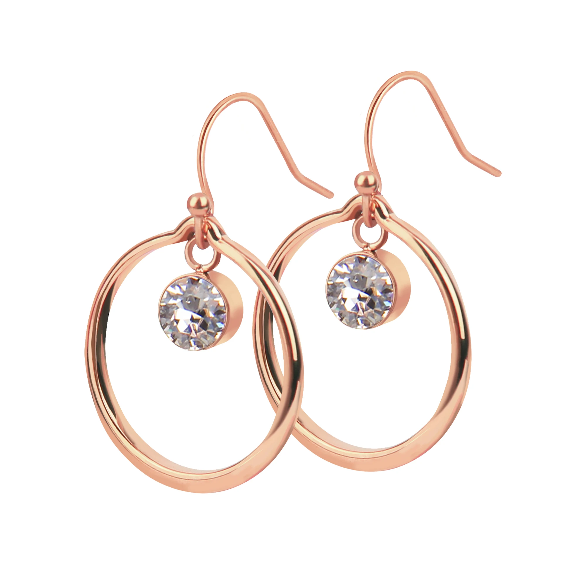 European and American fashion white ctystal pendant double ring earring rose gold stainless steel jewelry hoop earring
European and American fashion white ctystal pendant double ring earring rose gold stainless steel jewelry hoop earring
