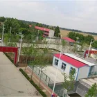 Factory direct sale american ginseng extract 20% ginsenosides powder