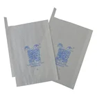 Fruit Protection Grapes Grow Paper Cover Bag