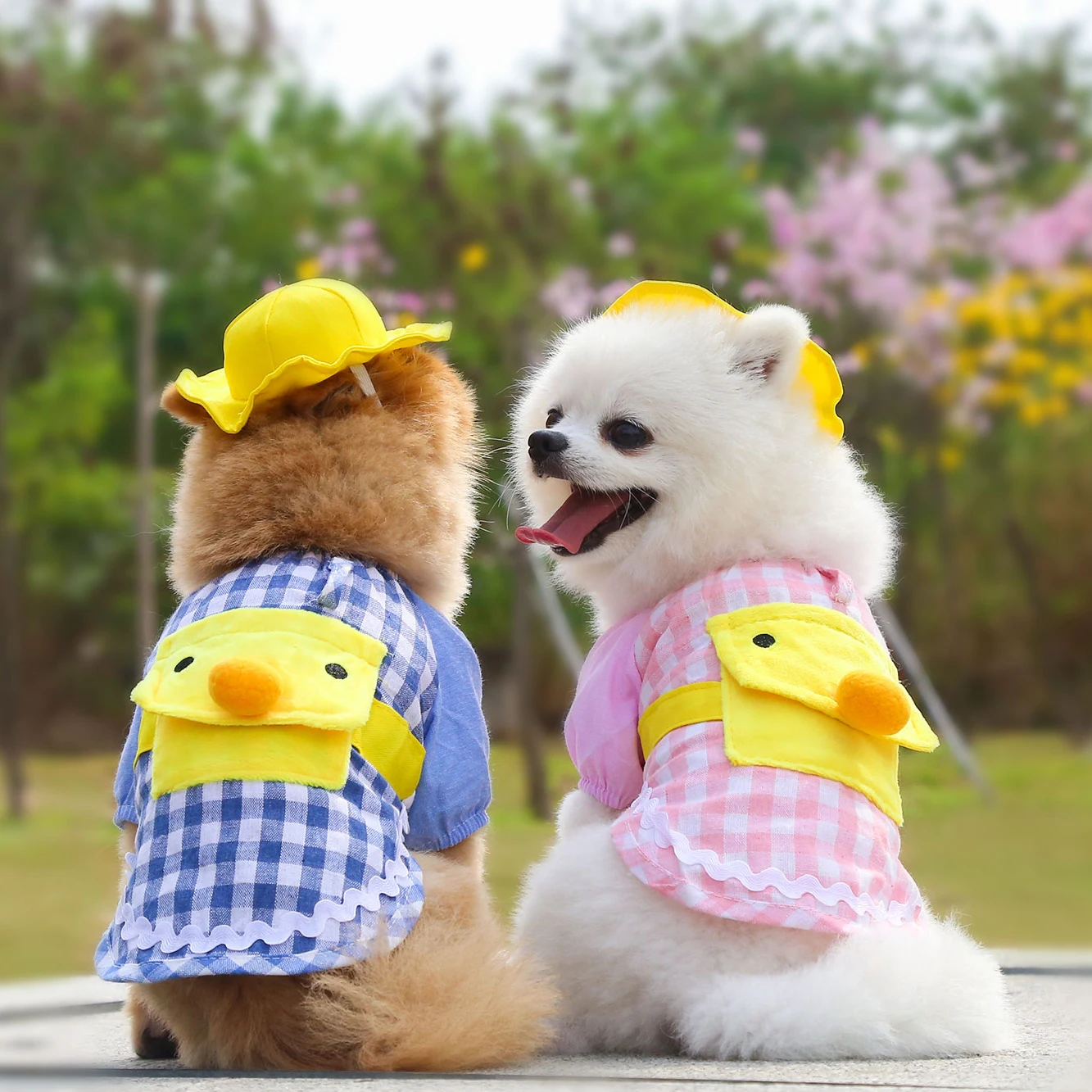 Spring summer custom wholesale cute duck hat cute duck Plaid two legged pet dog cat clothes
Spring summer custom wholesale cute duck hat cute duck Plaid two legged pet dog cat clothes
